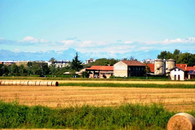 een boerderij met een veld en gebouwen op de achtergrond bij Cascina Battivacco in Milaan