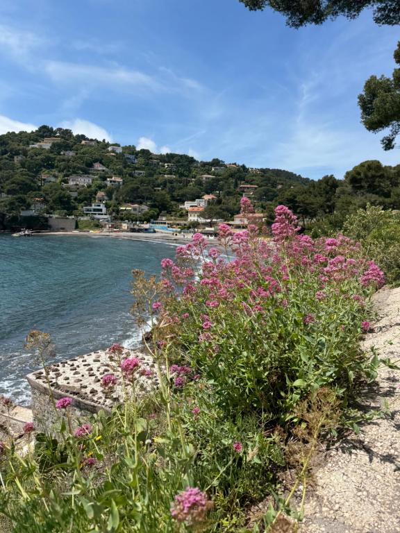 un banc au bord d'un plan d'eau avec des fleurs dans l'établissement Chemin du Bord de mer, à La Seyne-sur-Mer