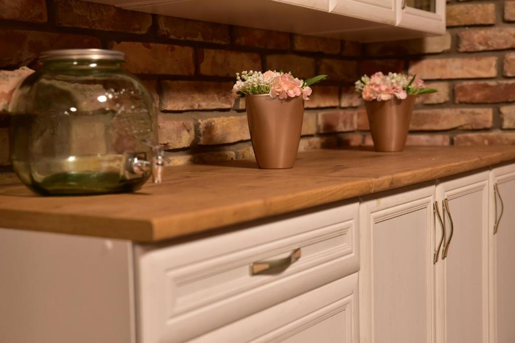 Tre fiori in vaso su un bancone in cucina di Gyömbér Tanya a Ásotthalom