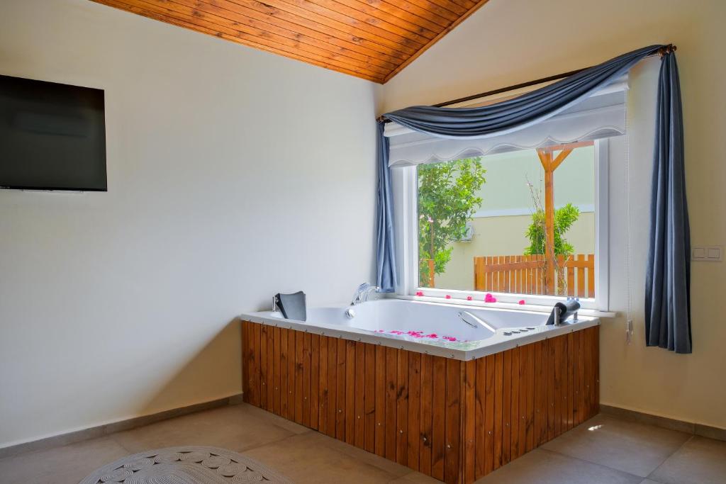TV a/nebo společenská místnost v ubytování Larimar Suite Hotel