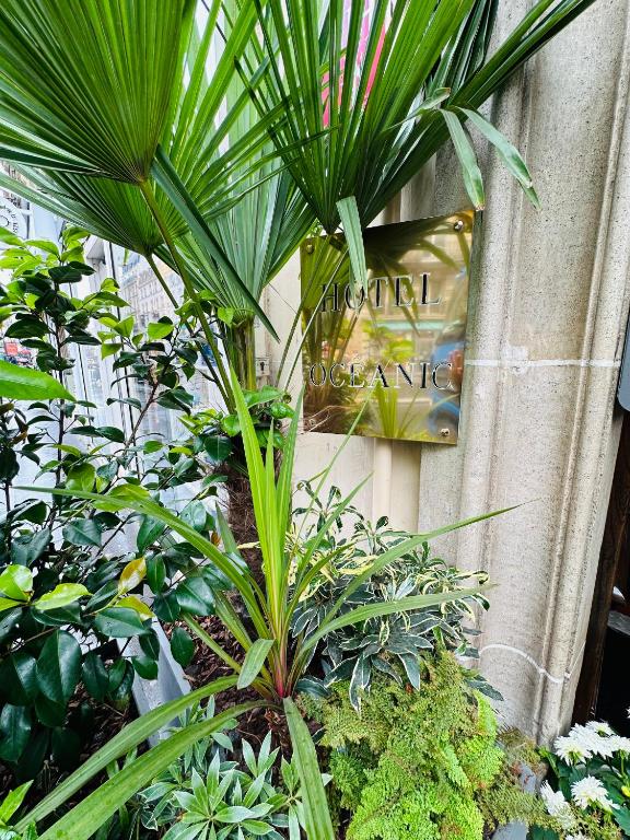 Hôtel Océanic - Grands Magasins - Resim 6