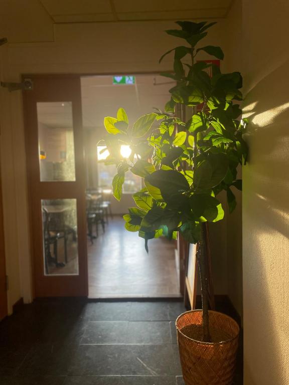 Ewa & Maude Hotel - Resim 19