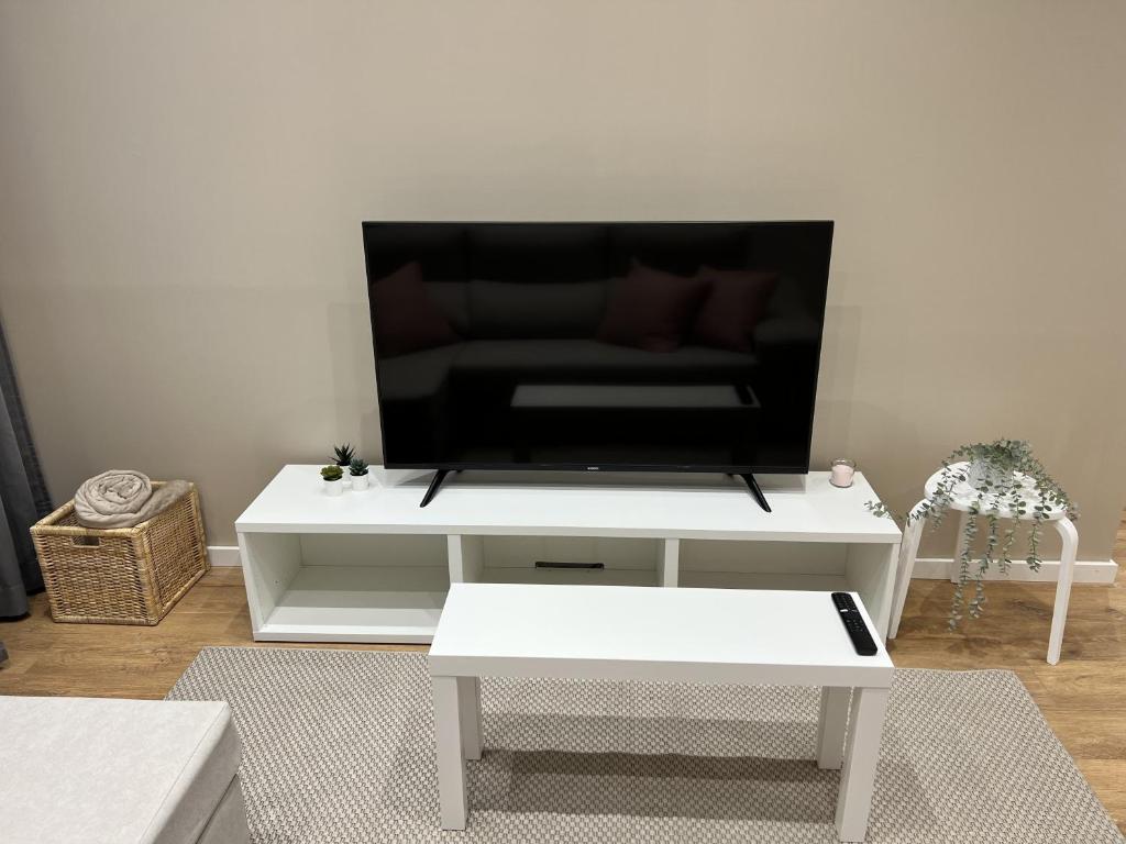 TV a/nebo společenská místnost v ubytování Apartamenticos Plaza Las Armas III