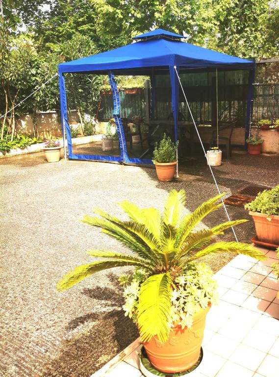 Zahrada ubytování Porto Recanati Zimmer