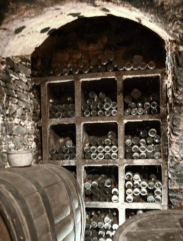 Posezení v ubytování Wein- und Sekthaus F.B.Schönleber
