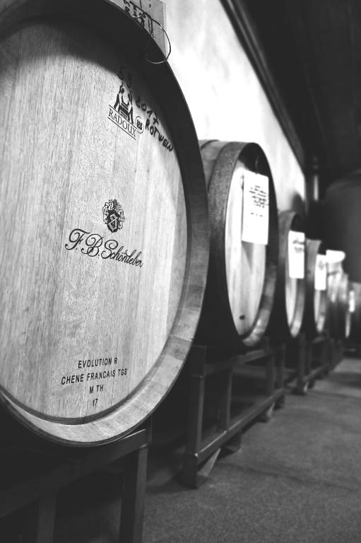 Certifikát, hodnocení, plakát nebo jiný dokument vystavený v ubytování Wein- und Sekthaus F.B.Schönleber