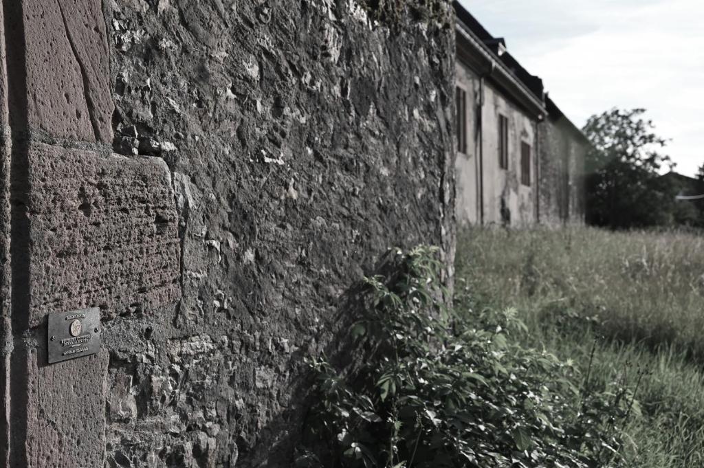Fotografie z fotogalerie ubytování Wein- und Sekthaus F.B.Schönleber v destinaci Oestrich-Winkel