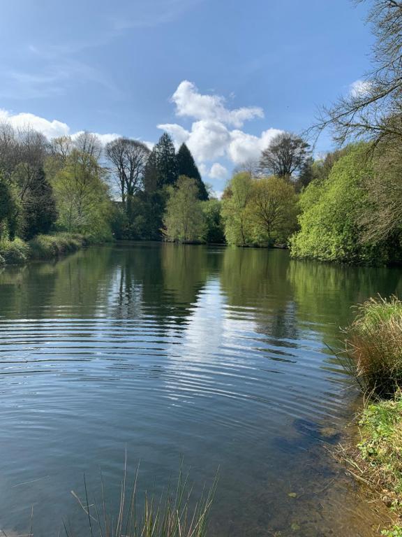 a view of a river with trees and clouds at Manoir 4 couchages, terrain de tennis étang privé in Lannéanou