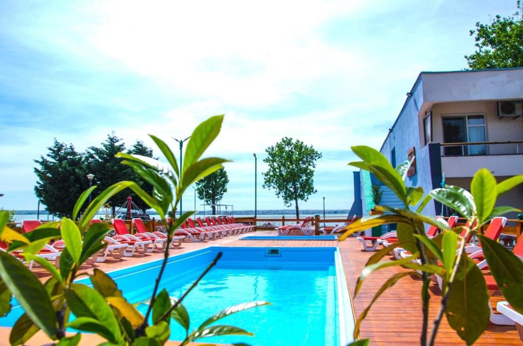 une piscine dans un hôtel avec des chaises et des arbres dans l'établissement Voila Mamaia, à Mamaia