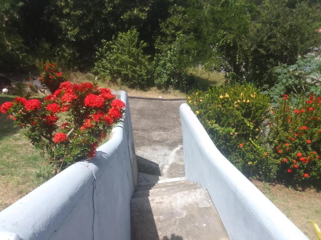 a white fence with red flowers in a garden at Seaclusion in Gros Islet