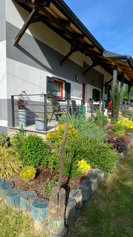 Zahrada ubytování Goričko view house
