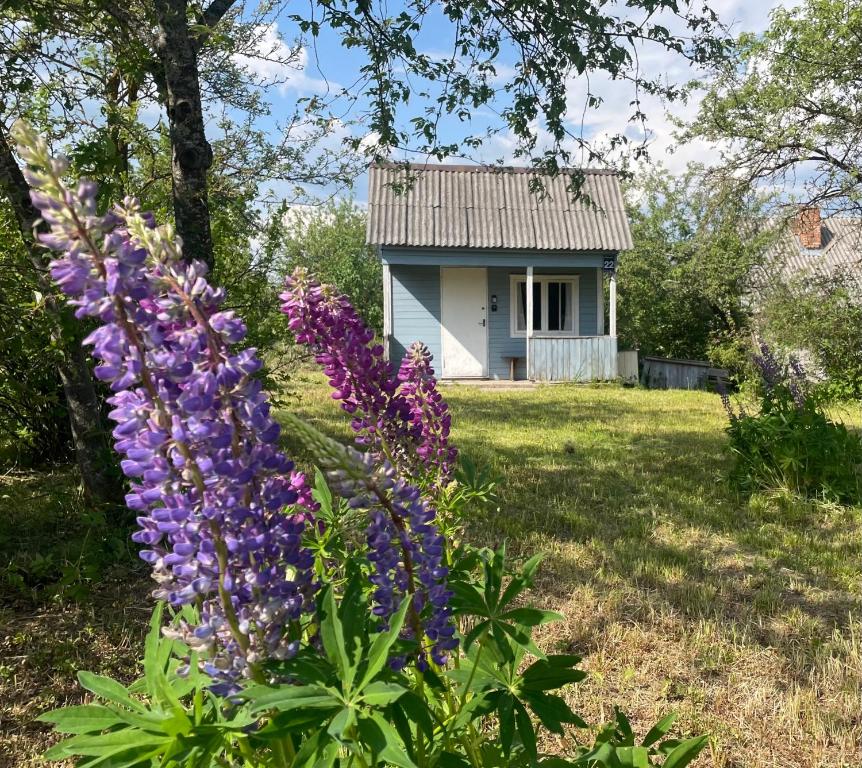 een tuin met paarse bloemen voor een huis bij Grandma's summer house in Ludza