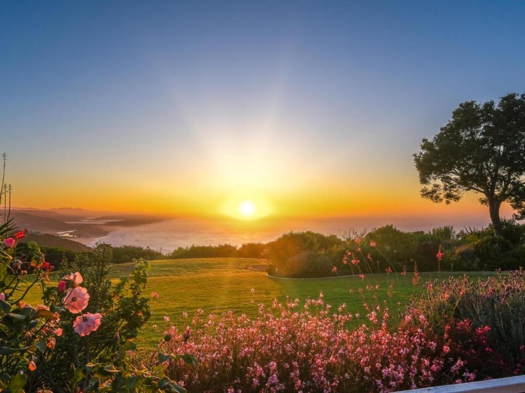 a field of flowers with the sunset in the background at Hilltop Boutique Hotel in Victoria Bay