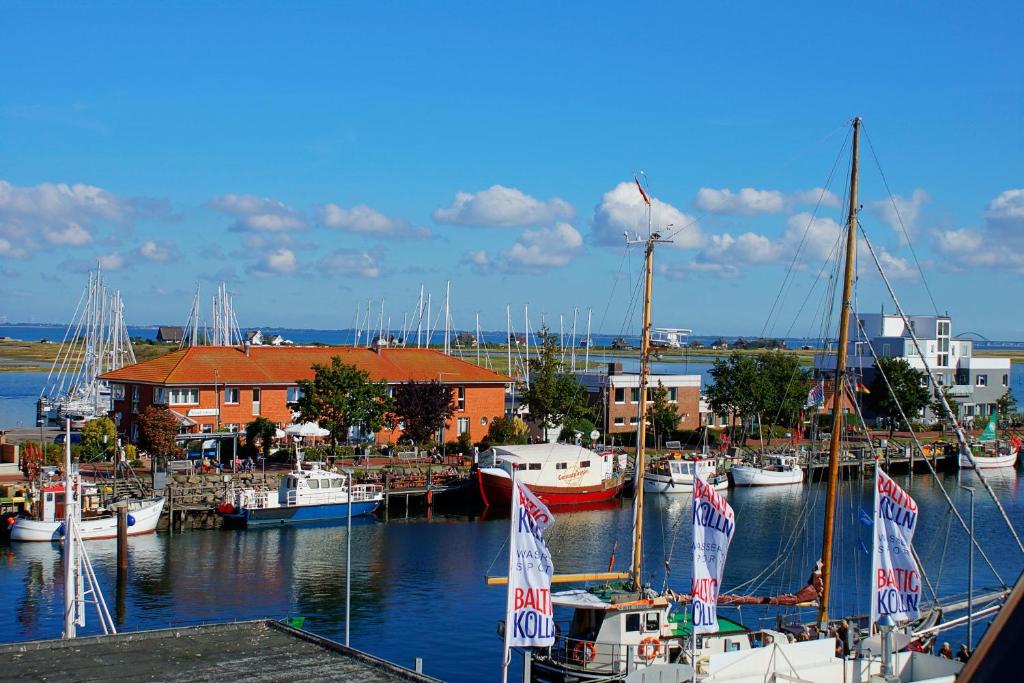 eine Gruppe von Booten, die in einem Yachthafen mit Gebäuden angedockt sind in der Unterkunft Baltic Kölln Appartement in Heiligenhafen