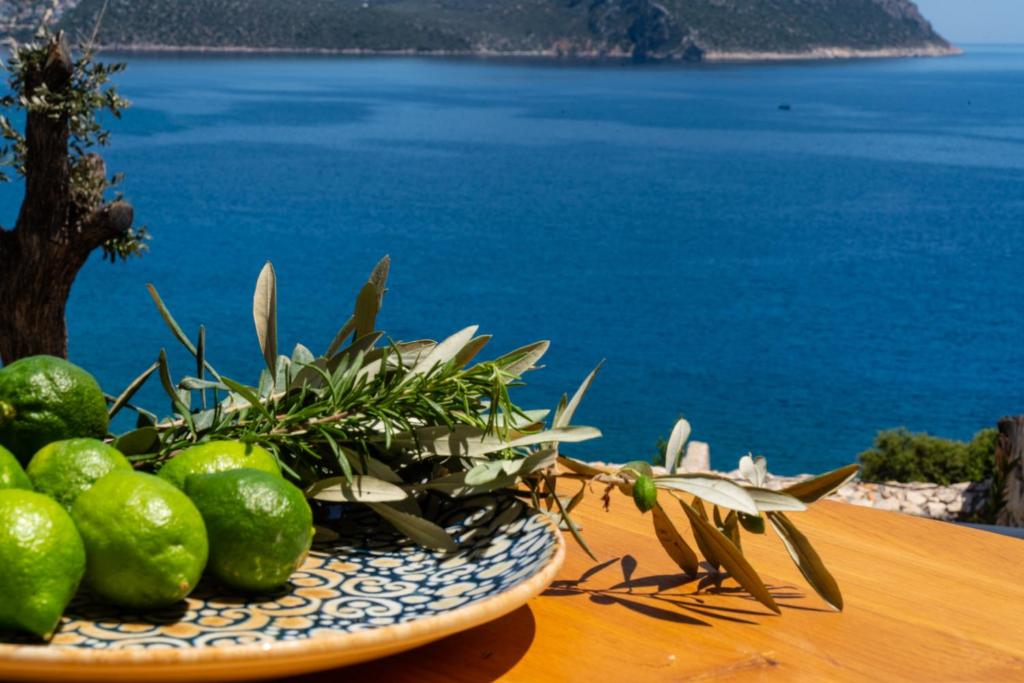 a plate of limes on a table with a view of the ocean at Kalamar Beach 5 in Kaş