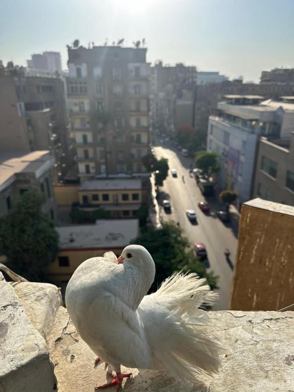 旅舍周边环境