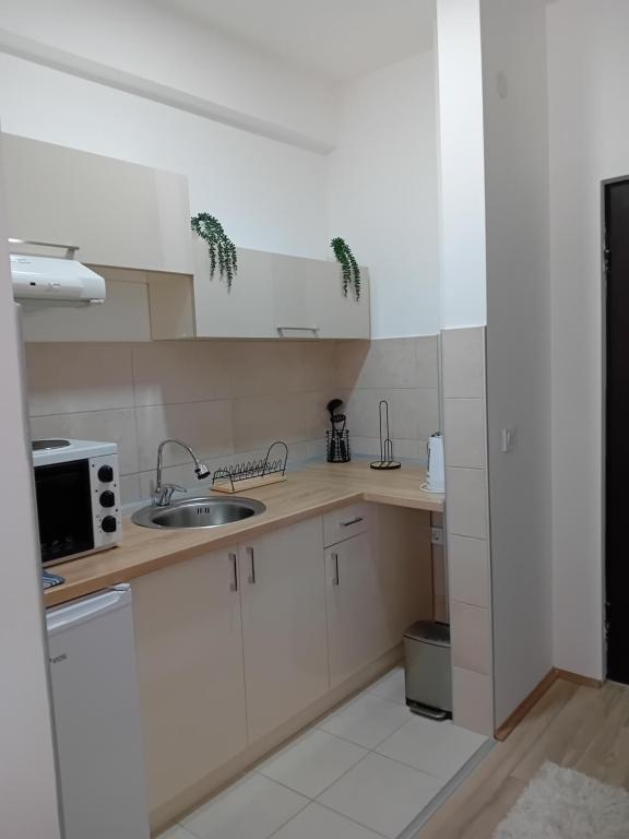 Kuchyň nebo kuchyňský kout v ubytování NINA 3 AKVA PARK adr Stevana Ivanovica 1