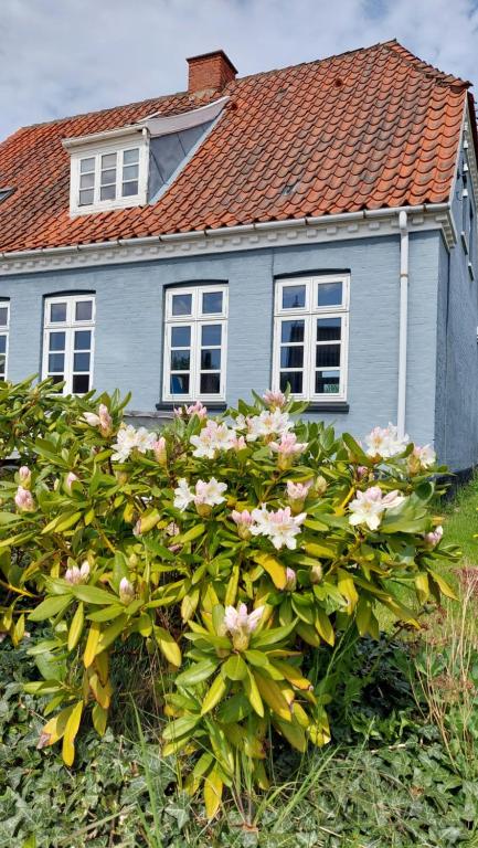 Zahrada ubytování Room in Ubby (Near Kalundborg)