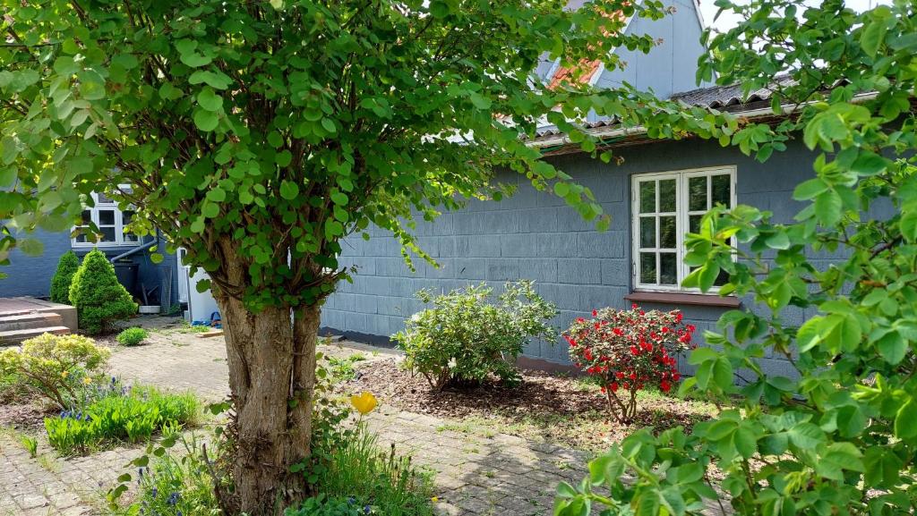 Zahrada ubytování Room in Ubby (Near Kalundborg)
