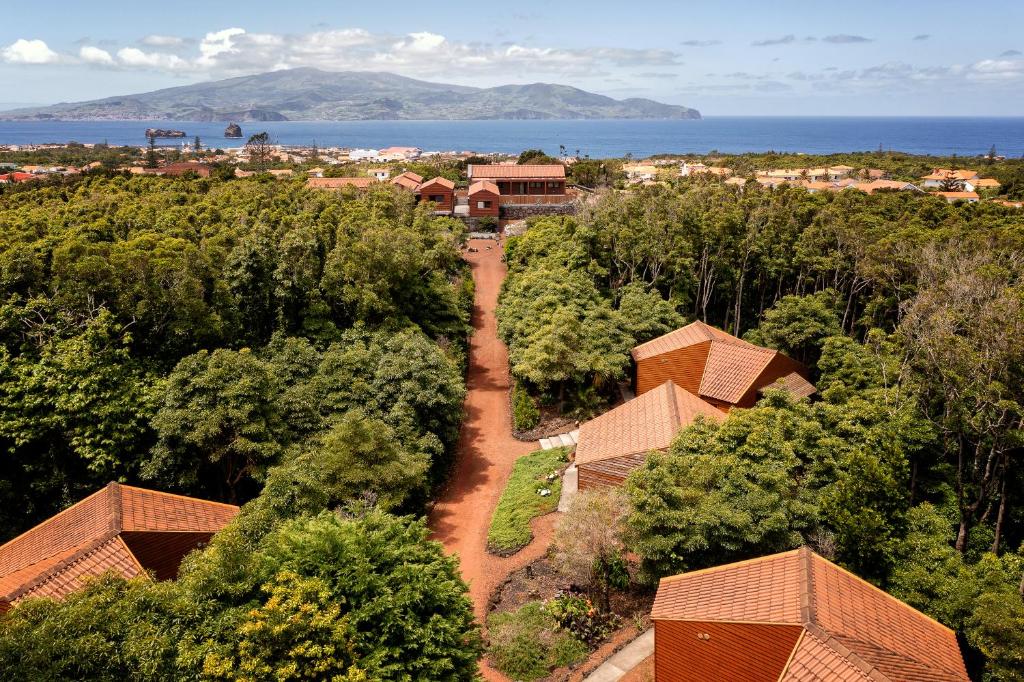 eine Luftblick auf ein Dorf mit Bäumen und das Meer in der Unterkunft Alma do Pico - Nature Residence in Madalena