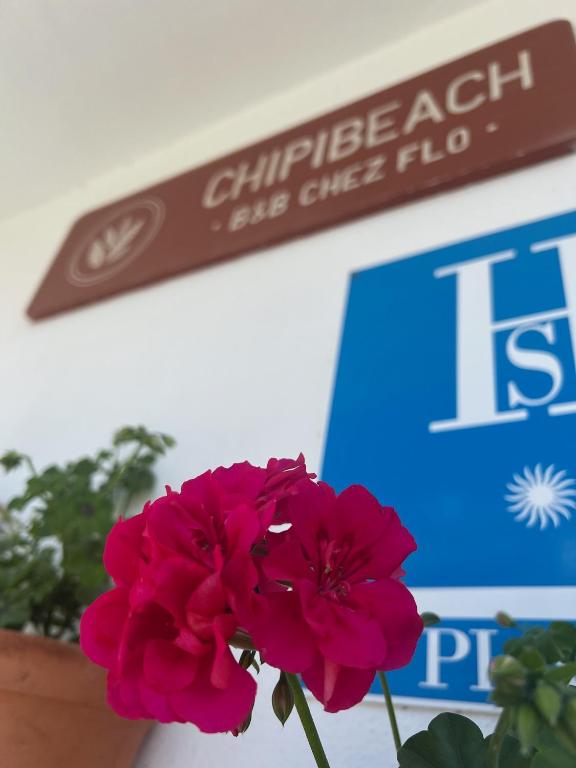 Certifikát, hodnocení, plakát nebo jiný dokument vystavený v ubytování Chipibeach B&B, Hostal Boutique