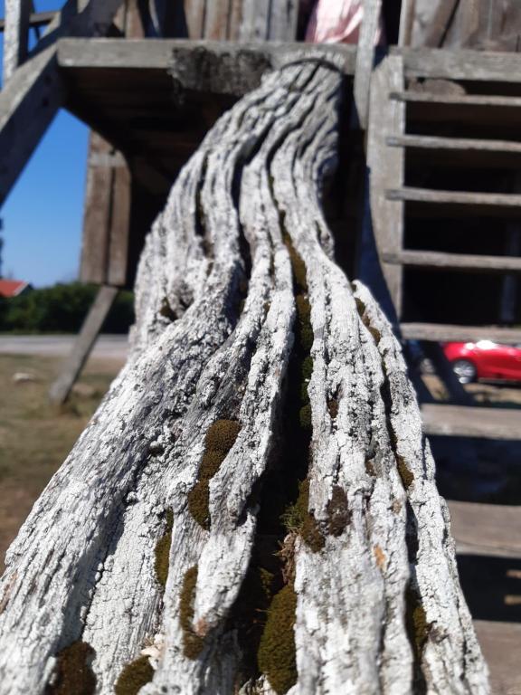 Fotografie z fotogalerie ubytování Gillet i Borgholm v destinaci Borgholm