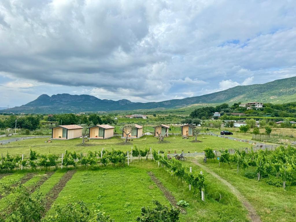Paesaggio naturale nelle vicinanze della casa vacanze