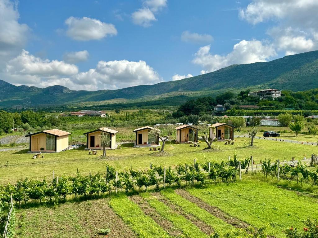 eine Gruppe von Häusern auf einem Feld mit Bergen im Hintergrund in der Unterkunft Fishta Guesthouse - Mrizi i Zanave in Fishtë