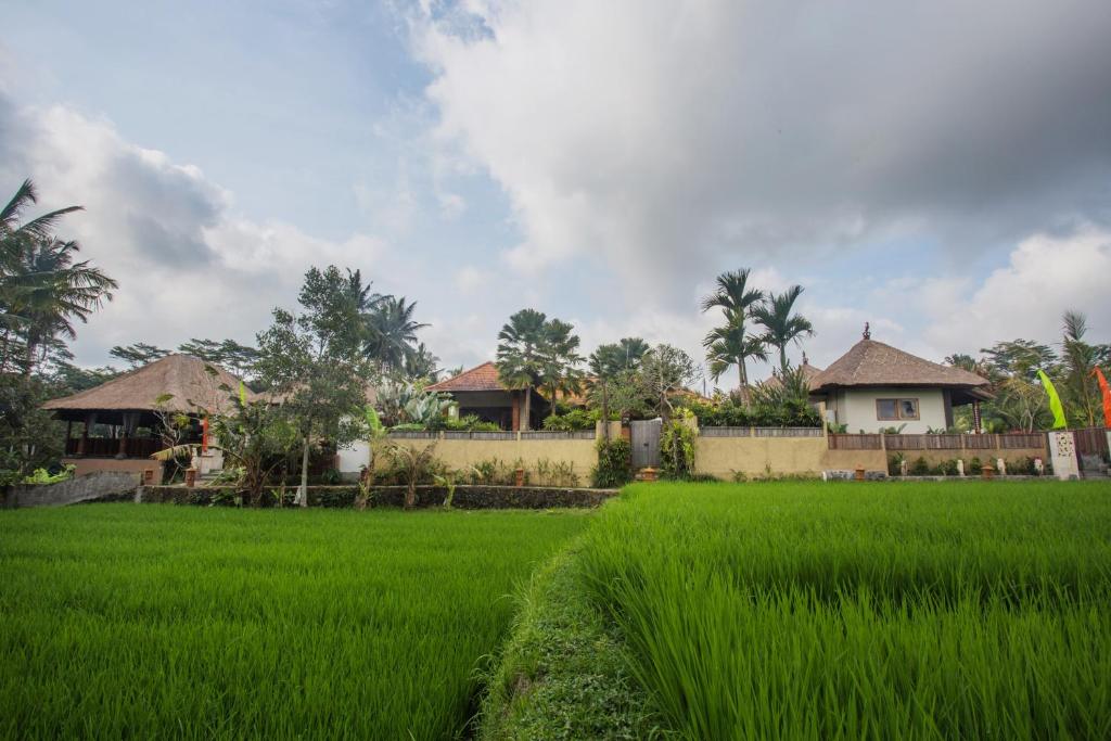 Zahrada ubytování Ubud Luwih Nature Retreat