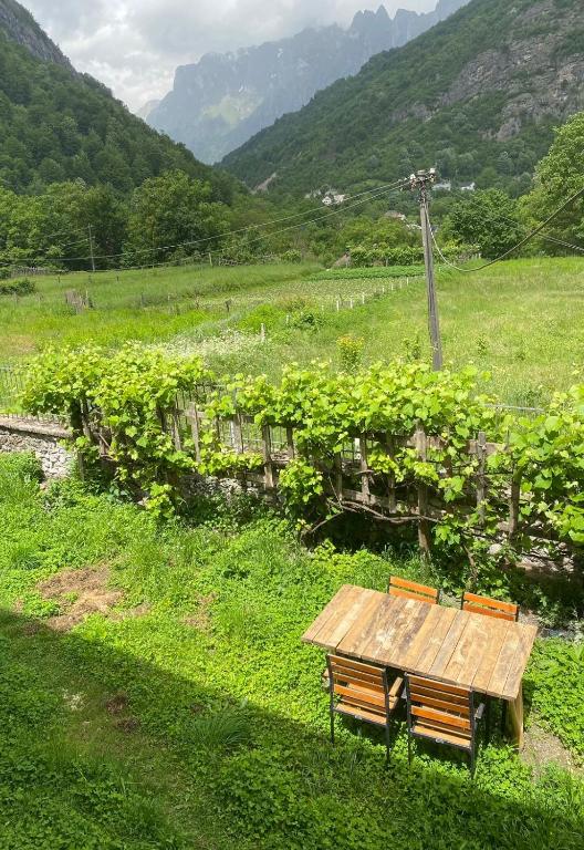 a wooden table and two benches in a field at Guesthouse Sibora in Valbonë