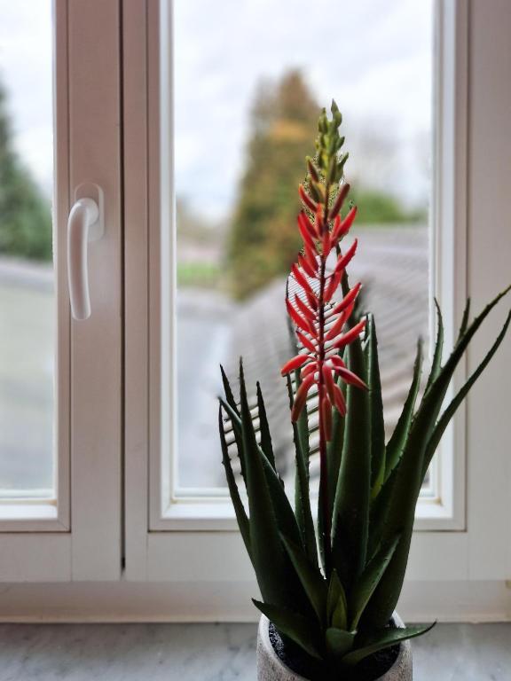 Restaurant Hotel Laternchen - Resim 15