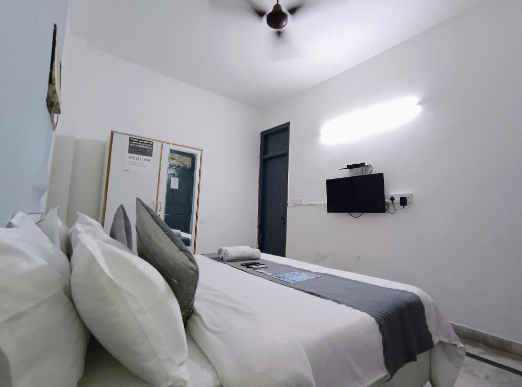 TV a/nebo společenská místnost v ubytování Hotel Hauz Khas Fort View