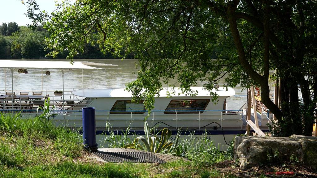 Zahrada ubytování Péniche Spa Le Makara - Avignon