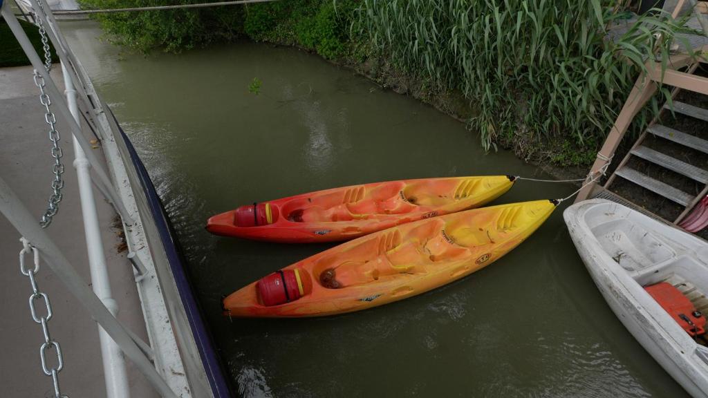 Fotografie z fotogalerie ubytování Péniche Spa Le Makara - Avignon v Avignonu