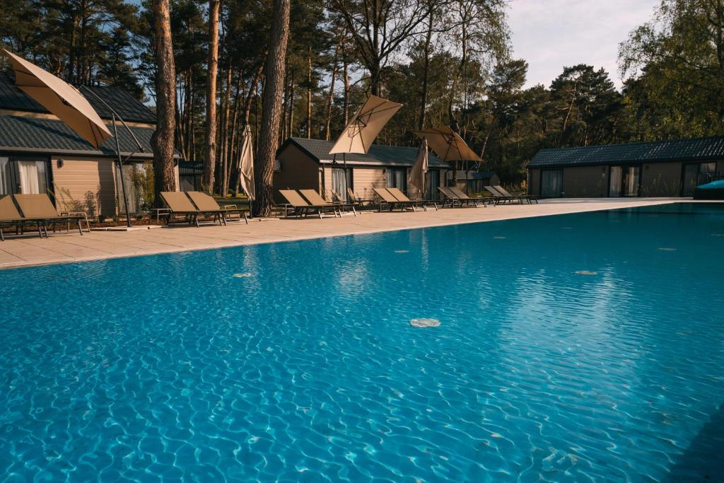 une grande piscine bleue avec des chaises et des arbres dans l'établissement Folga Resort, à Mrzeżyno
