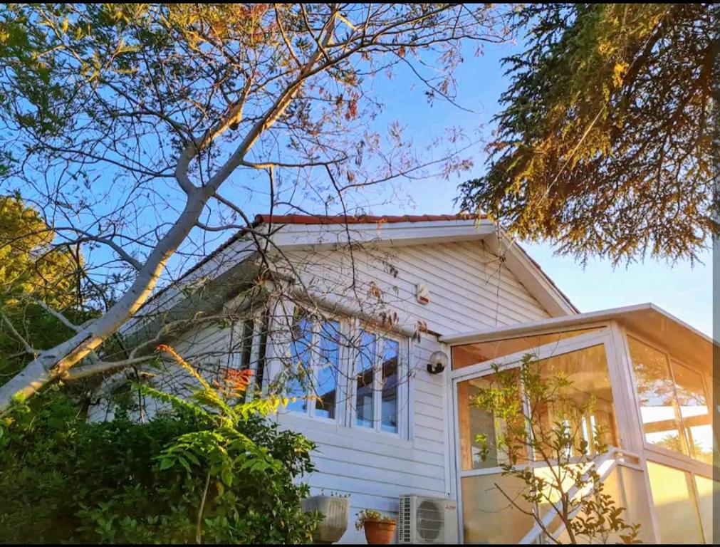 une maison blanche avec de grandes fenêtres et un arbre dans l'établissement Maisonnette Saint Clair, la vie est belle!, à Sète