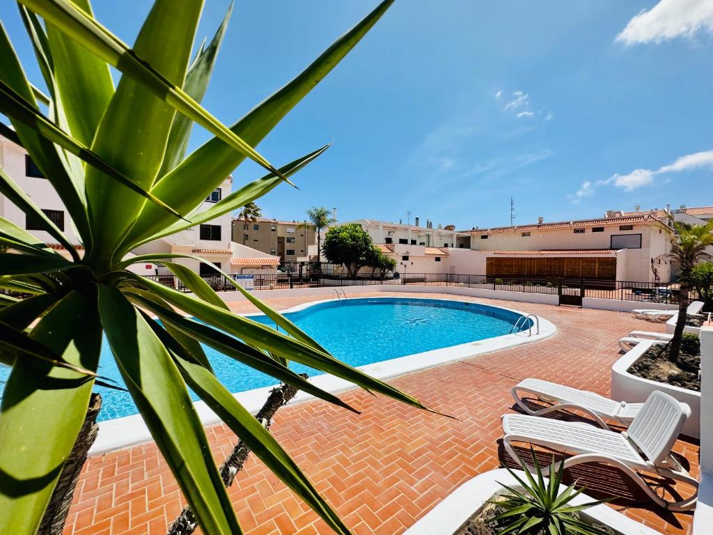 Central quiet apartment big terrace and pool
