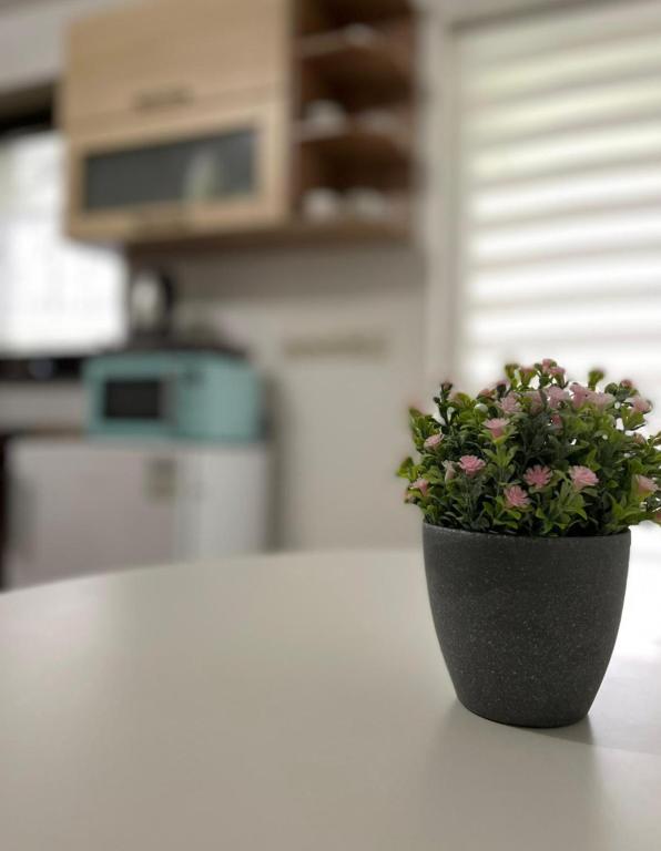 Kuchyň nebo kuchyňský kout v ubytování Apartmány IVETA