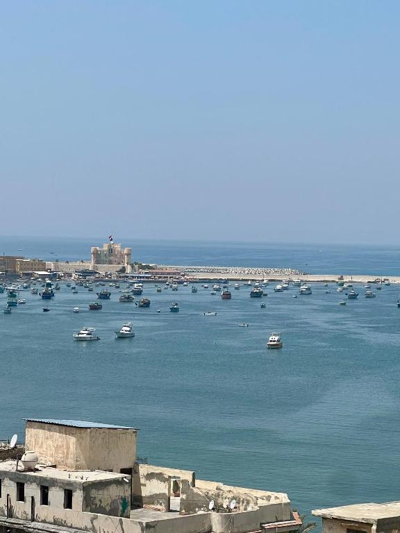 Downtown Sea View Suites - 6