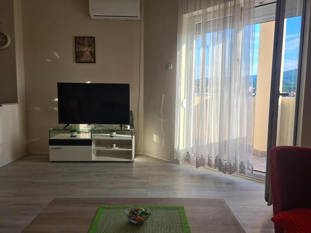 TV a/nebo společenská místnost v ubytování Apartmani Loznica