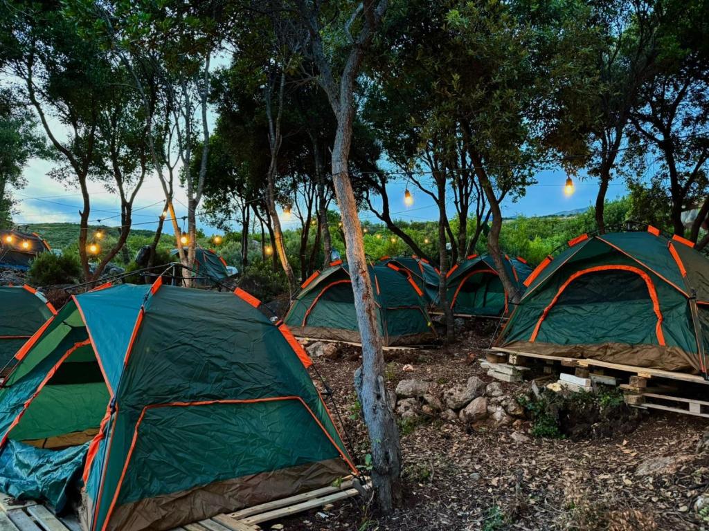 grupa namiotów na polu z drzewami w obiekcie Camping Aquarium w mieście Himara