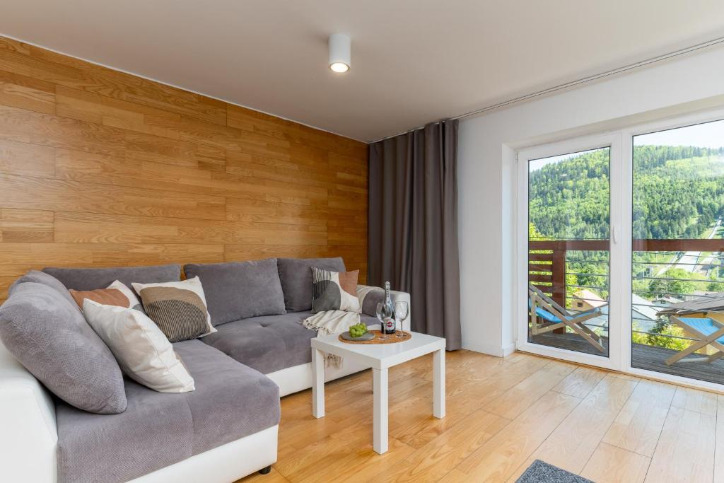 Apartamenty Orla - 19