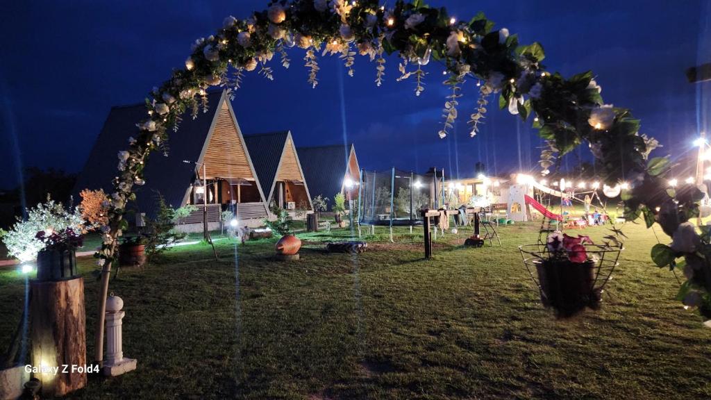 un arco con luces en un parque por la noche en olive garden farm en Ulcinj