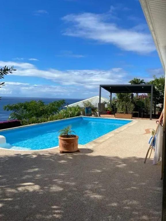 Bassein majutusasutuses Studio cosy avec vue sur mer à Case-Pilote, 21 m², piscine või selle lähedal