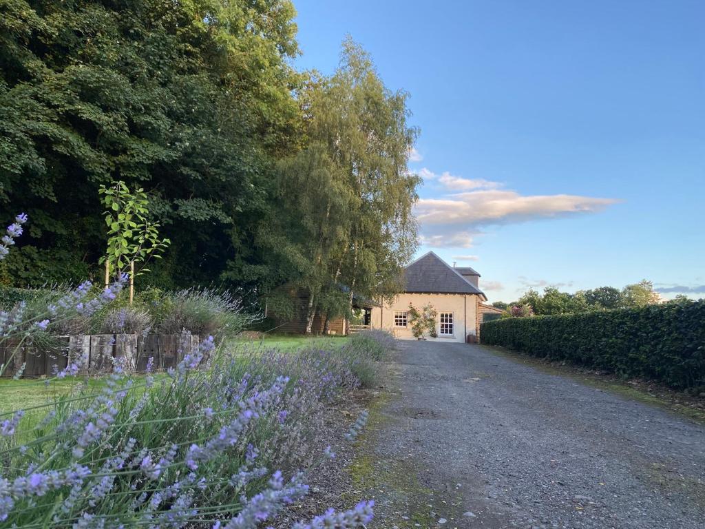 une maison avec un champ de fleurs violettes en face d'une allée dans l'établissement Private detached cottage sleeps 4, à Crieff