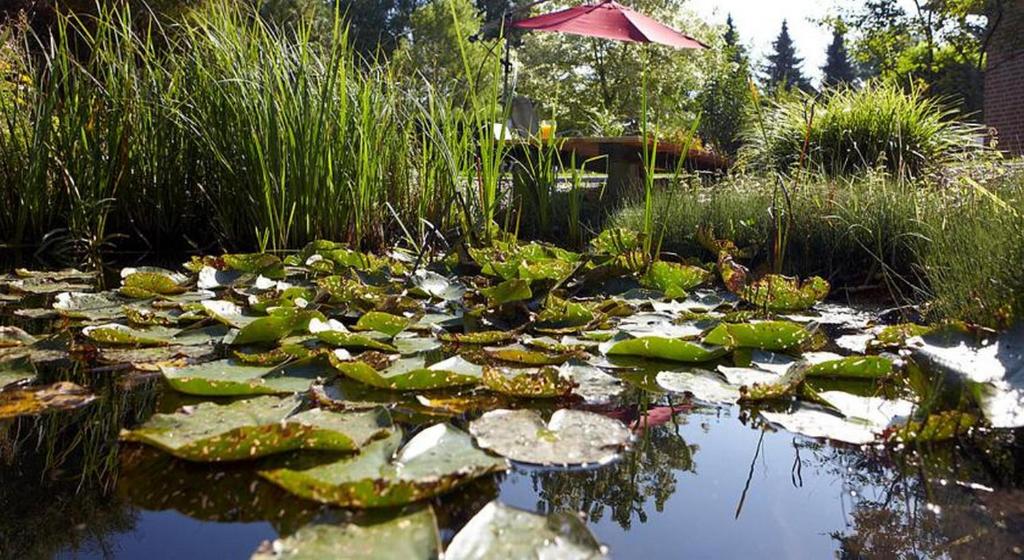 Zahrada ubytování Hotel Waldblick Deppe