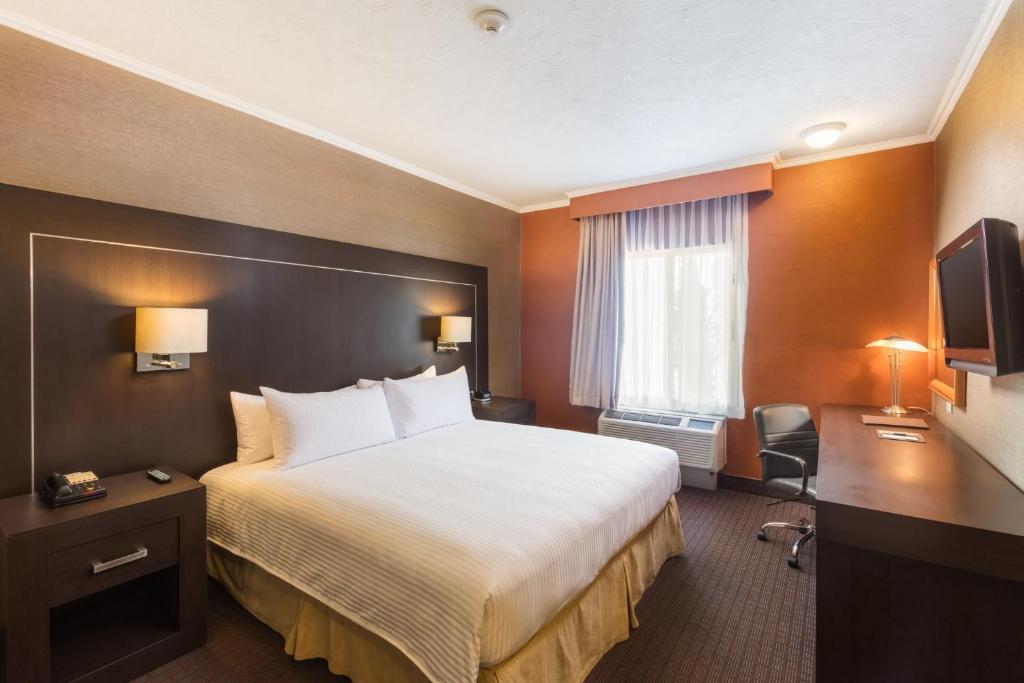 サルティーヨにあるvoco Saltillo Suites, an IHG Hotelのベッドとテレビが備わるホテルルームです。