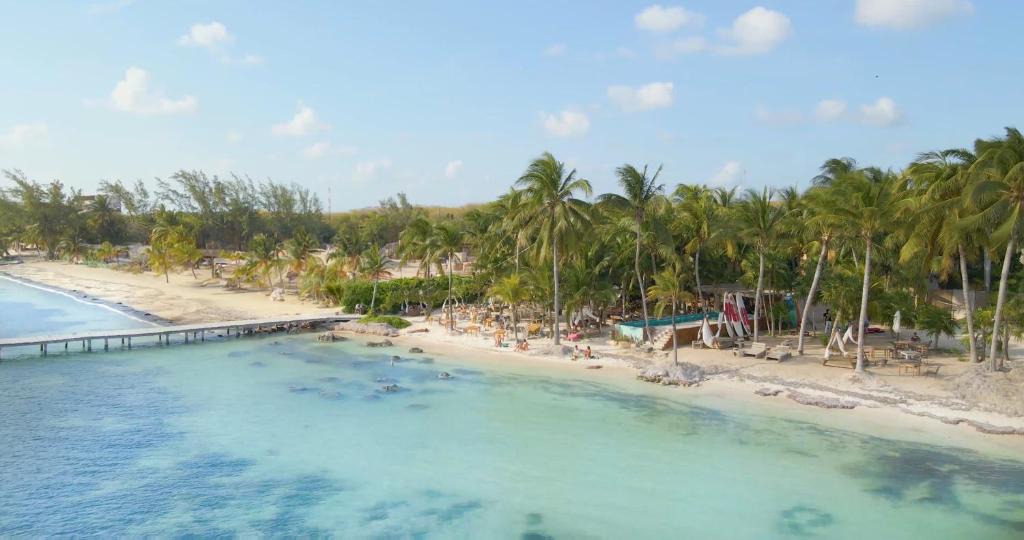 una vista aerea di una spiaggia con palme di Mayan Monkey Isla Mujeres a Isla Mujeres