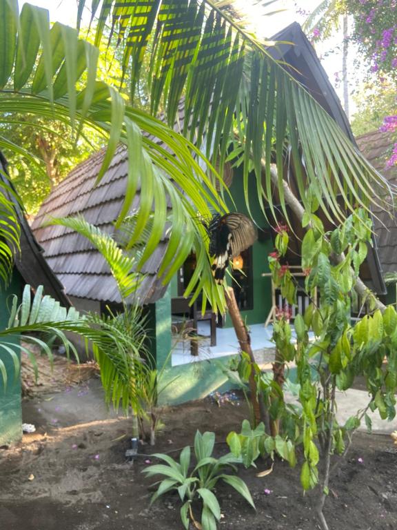 Mowglis Gili Air - 12