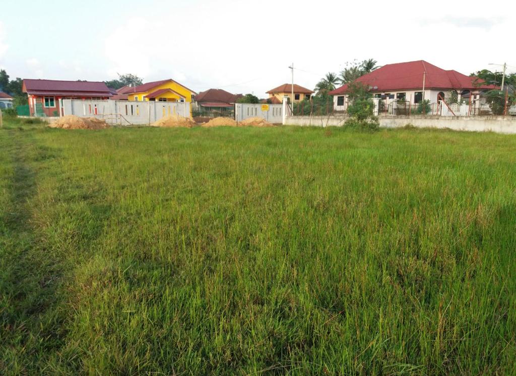 a field of green grass with houses in the background at Maka Acres Campsite in Tanah Merah